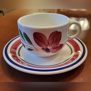 2 Pc Maxam Italian Flowers 10 oz Cup & 8" Plate Handpainted Italy Coffee Dessert